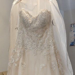 Wedding Dress (David's Bridal Jewel 3836/Vintage Rose)